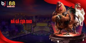 Đá Gà Cựa Dao