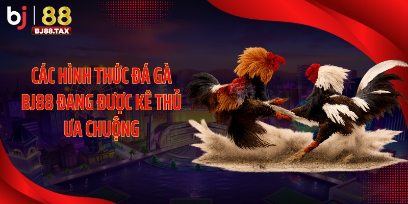 Các hình thức đá gà BJ88 đang được kê thủ ưa chuộng