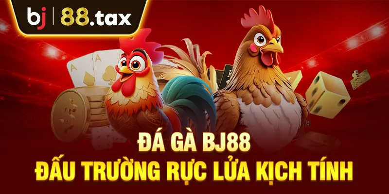 Đá gà - Đấu trường rực lửa kịch tính từng