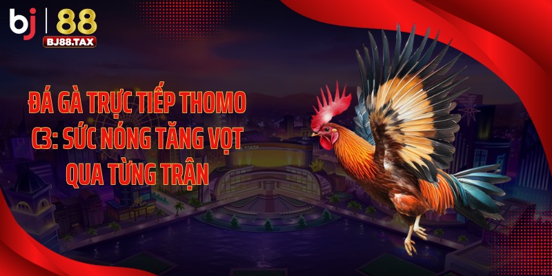 Đá Gà Trực Tiếp Thomo C3