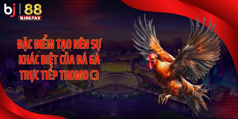Đặc điểm tạo nên sự khác biệt của đá gà trực tiếp thomo C3