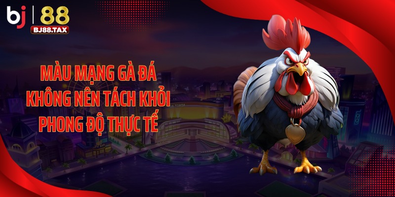 Màu mạng gà đá không nên tách khỏi phong độ thực tế